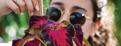 Horticulture Major