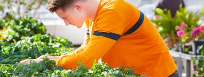 Crop Science Major