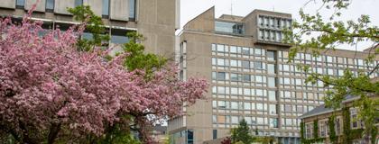 Photo of campus
