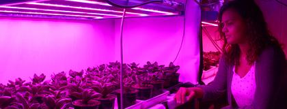 Plant Science major