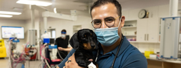 man and dog in hospital