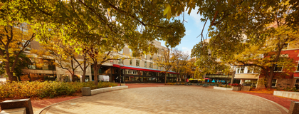 Branion Plaza